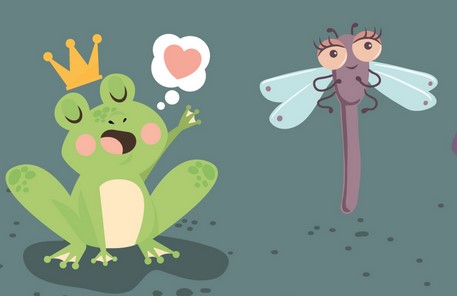 Soirée amphibiens