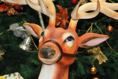 Noël des enfants