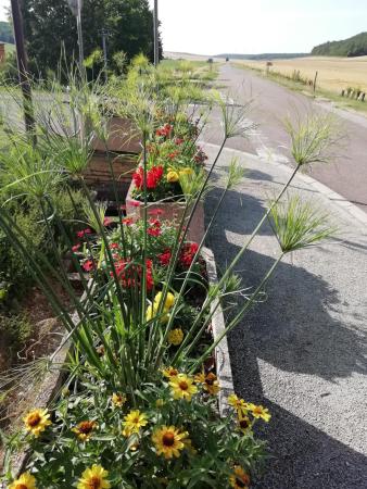 Fleurs Diénay
