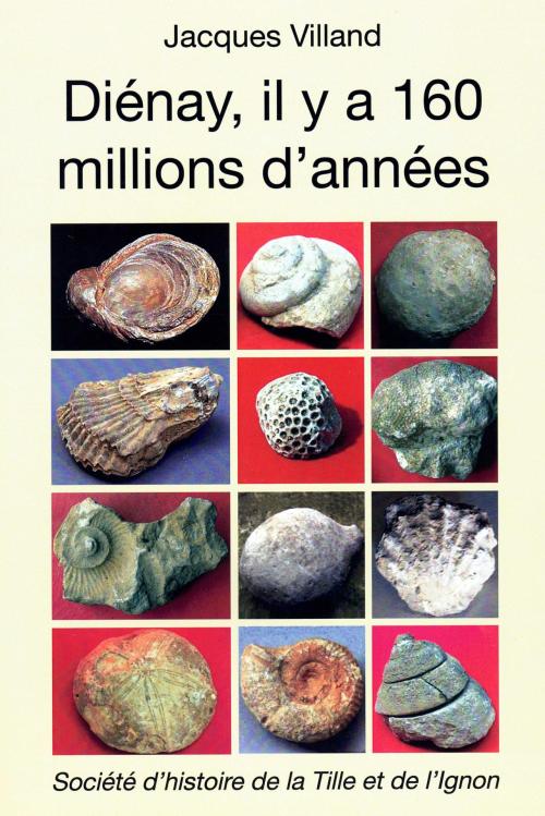 histoire géologique de Diénay