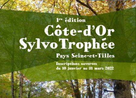 Sylvo trophée