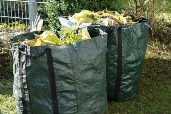 ramassage des déchets verts