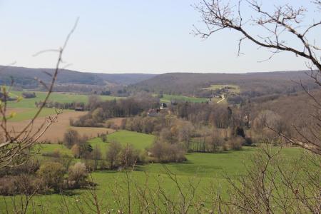 tarsul