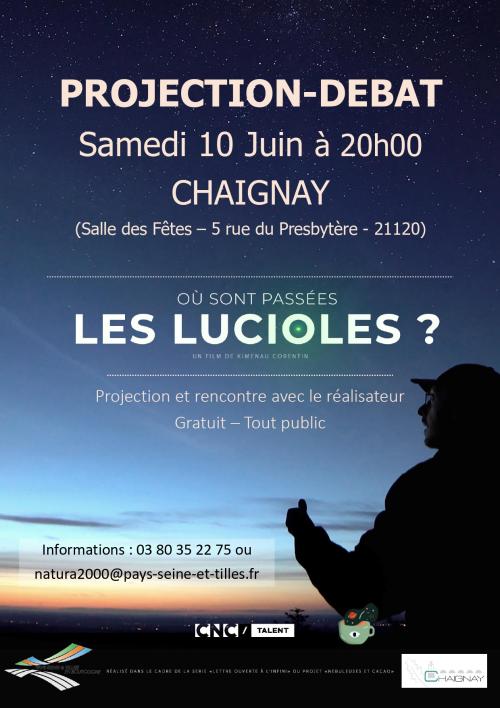 Ou sont passées les lucioles?